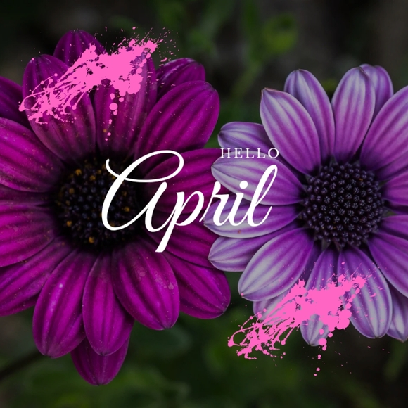 Completed Share Group Just In 5 - Picture 7 of 16